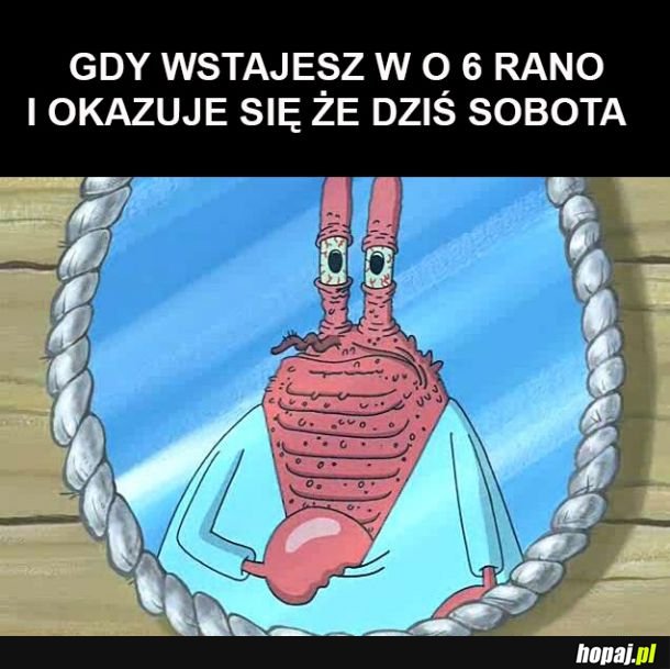 Ach te budziki... 