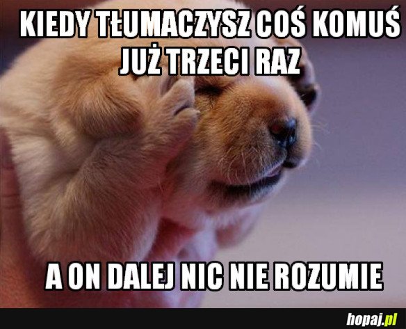 NIC NIE ROZUMIE