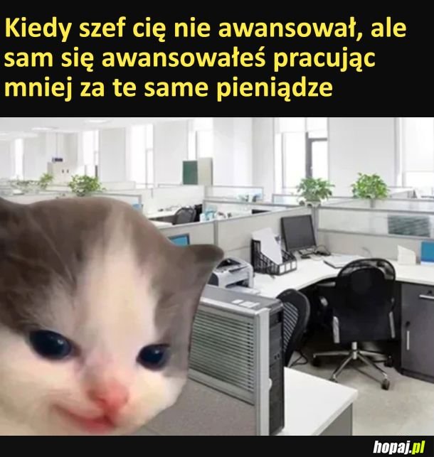 Awansik