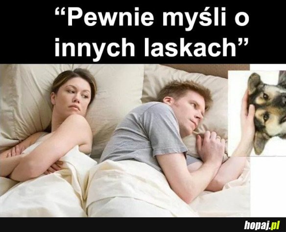 INNE LASKI