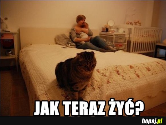 Smutny koteł