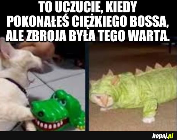 Piękna zbroja