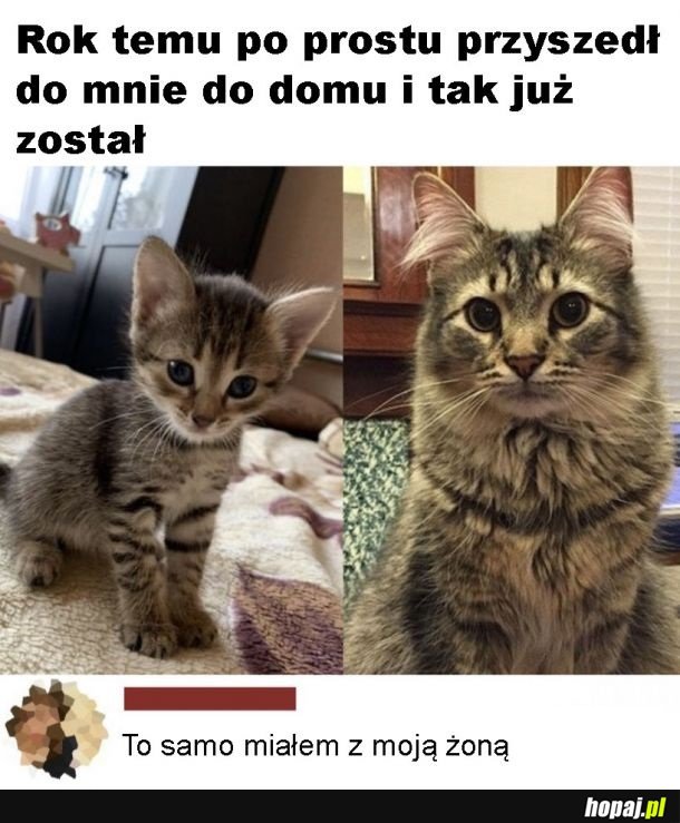 Ale wyrósł