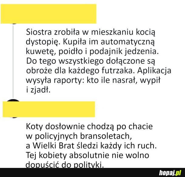Kocia dystopia