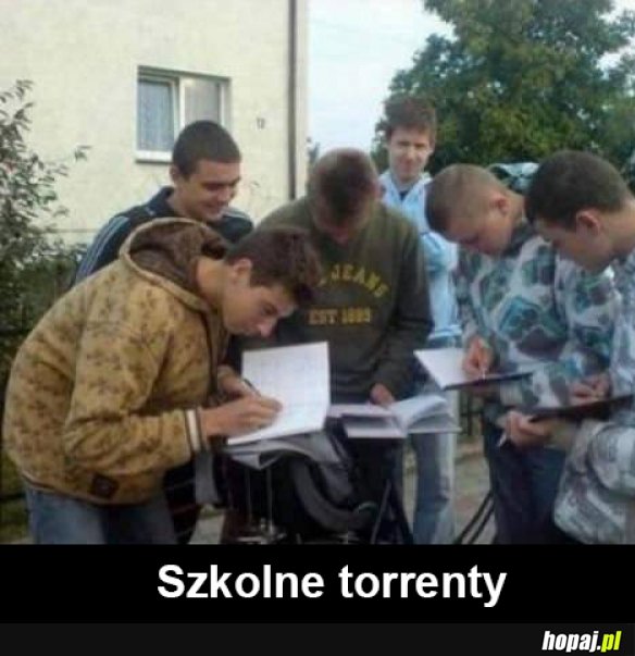 Torrentz