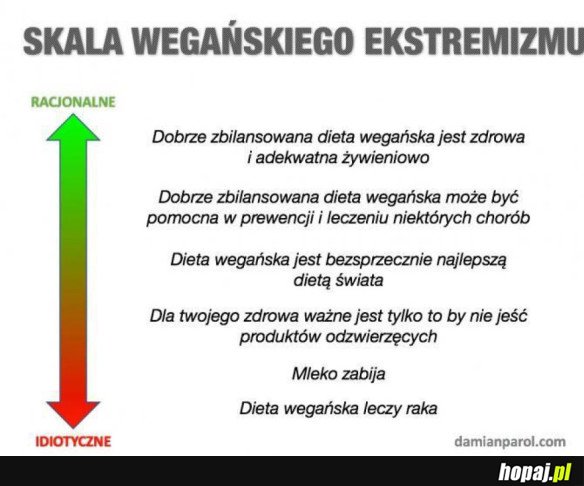 WSZYSTKO Z GŁOWĄ