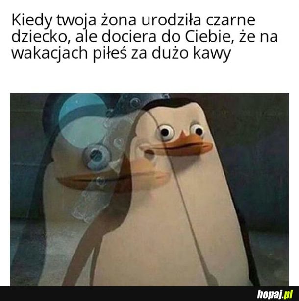 Wszystko przez kawę