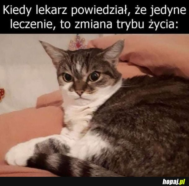 Porada