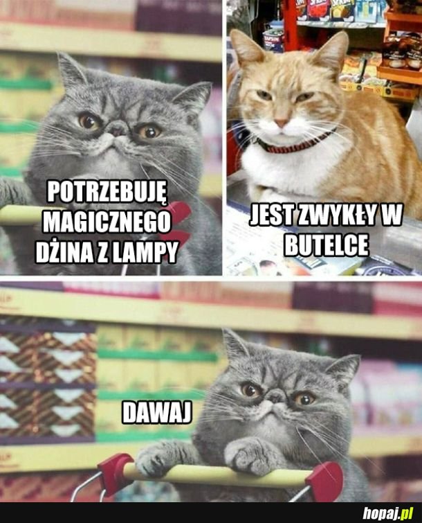 Też może być
