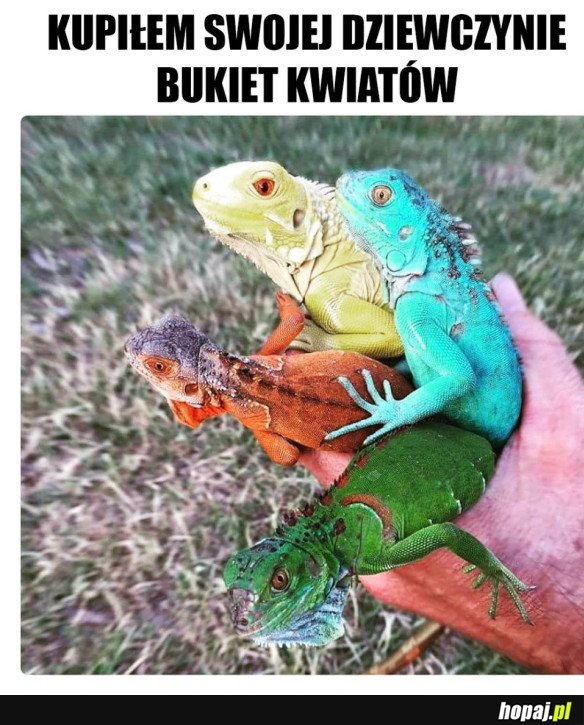 NIETYPOWY BUKIET KWIATÓW