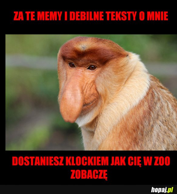 UWAŻAJ KOLEŚ