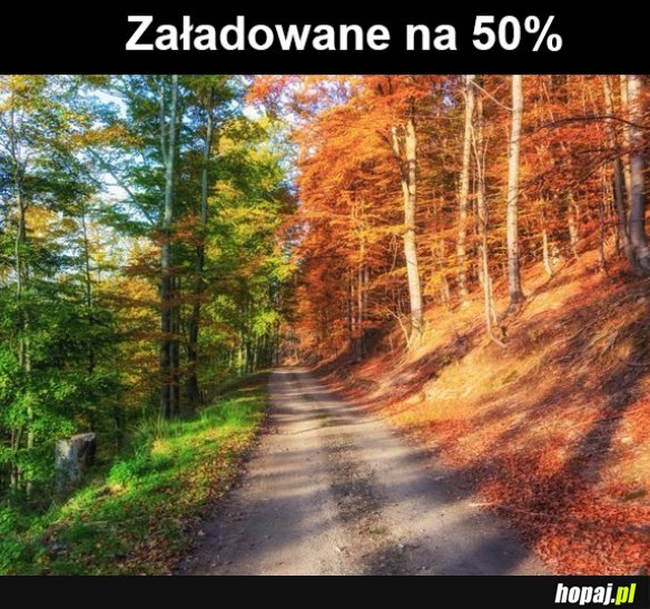 Jesień