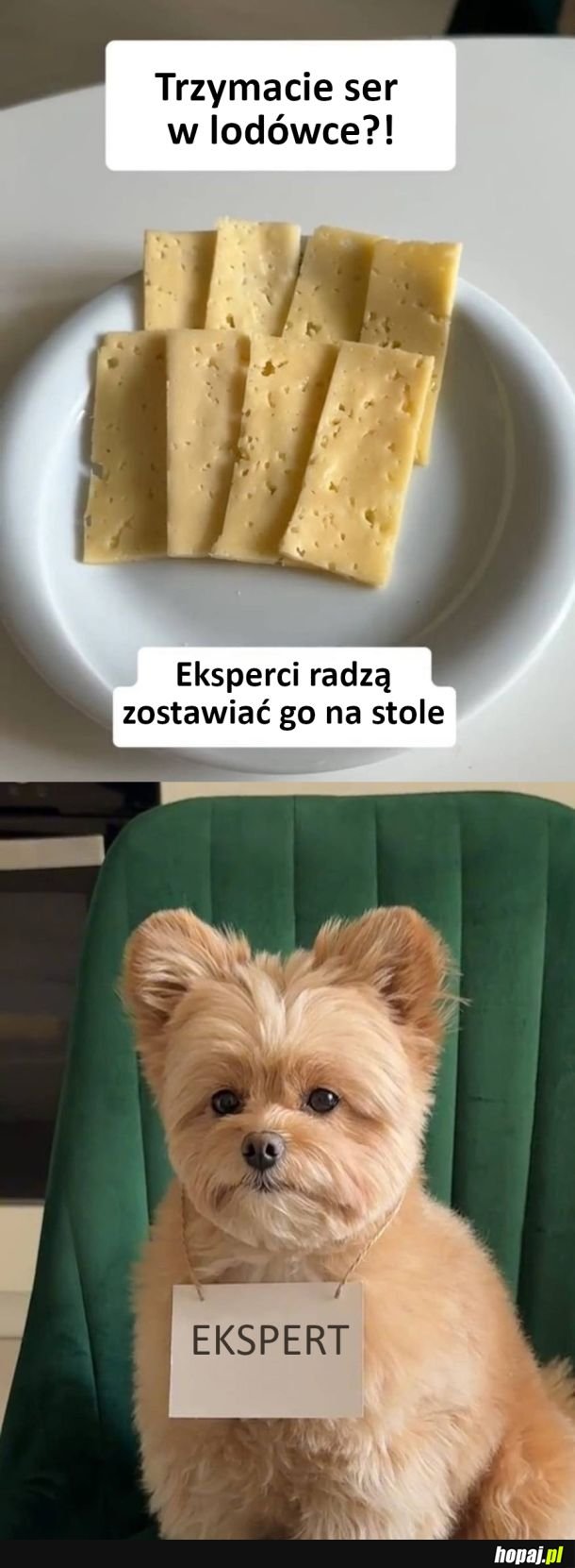 Eksperci radzą