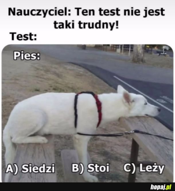 Tak
