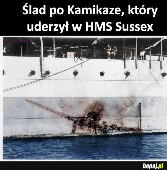 Ciekawostka