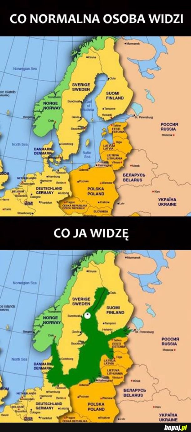 Krokodylek 