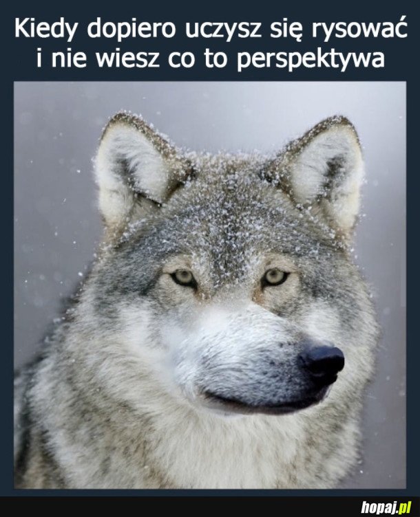 POCZĄTKI BYWAJĄ CIĘŻKIE