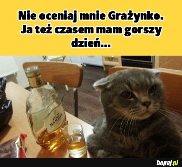  Znowy w życiu mi nie wyszło
