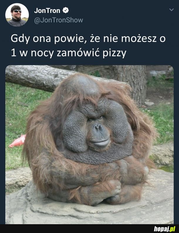 Nie ma jak pizza w nocy