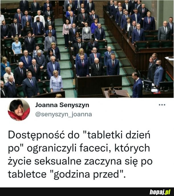 Oczom ich ukazał się las. Las stetryczałych konarów.