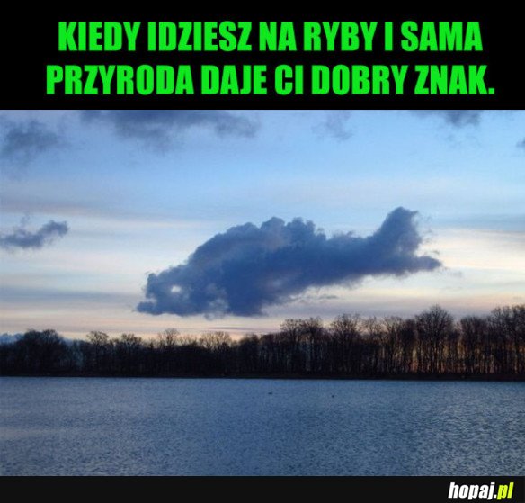 RYBNA CHMURA