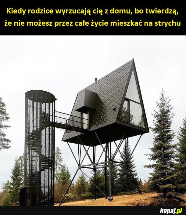 A właśnie, że mogę!
