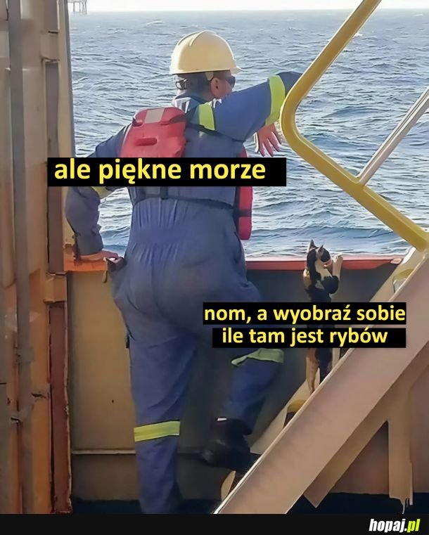 Rybki