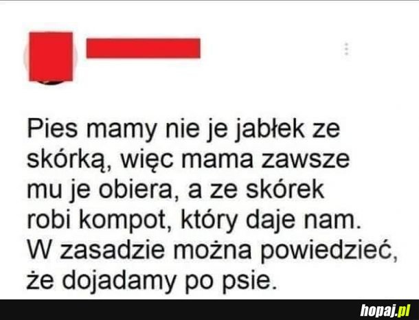 Jabłka