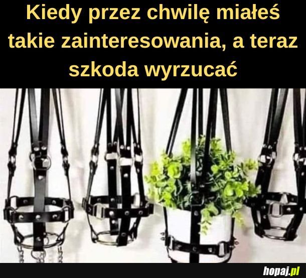Praktycznie.