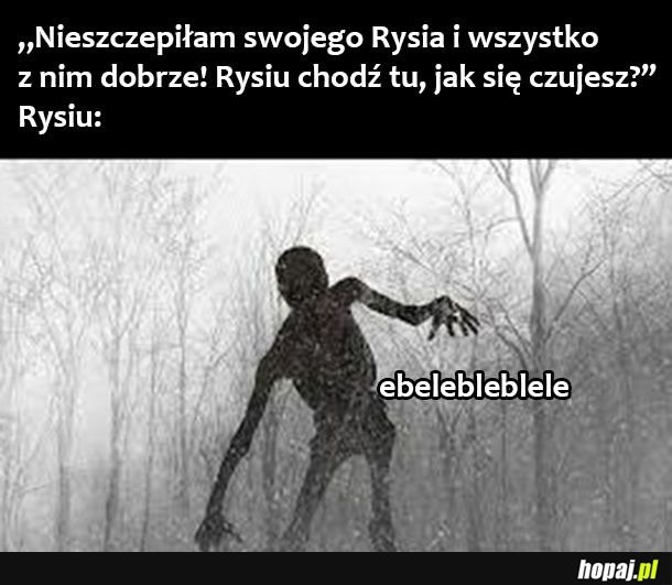 Rysiu 