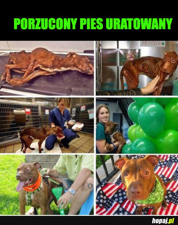 PIĘKNA BAJKA W PRAWDZIWYM ŻYCIU