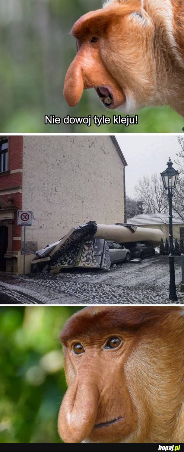 Jak to sie mogło stać