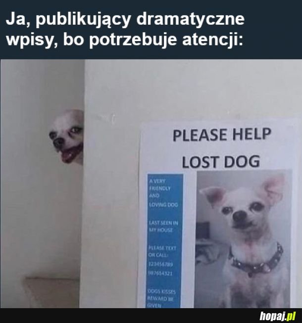  Sory, taki już jestem 