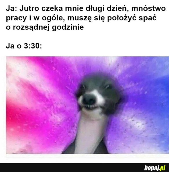 NO I ZNÓW SIĘ NIE UDAŁO