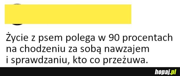 Życie z pieskiem