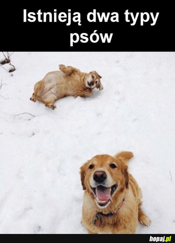 PIESKI