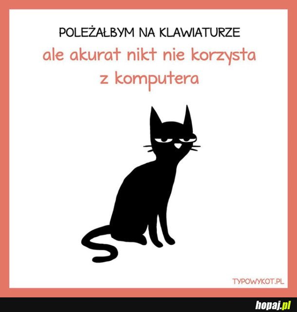 POLEŻAŁBYM NA KLAWIATURZE