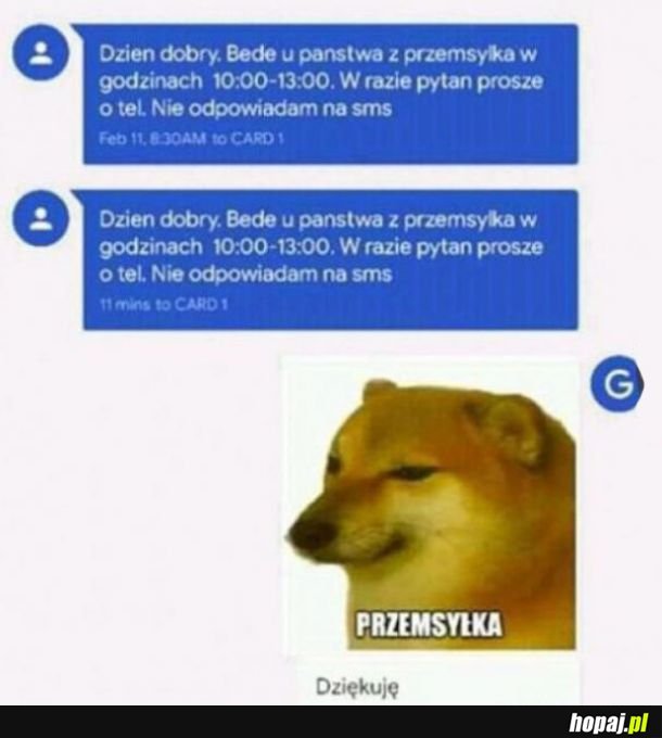 Przesmyłka