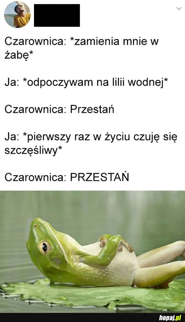 Jak jesteś płazem to wszystko ujdzie ci płazem. Gady mają trudniej.