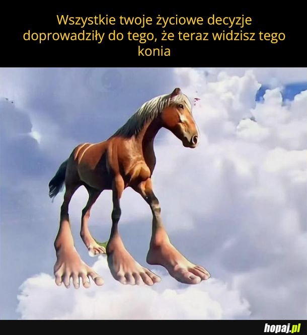 Do tego doszło