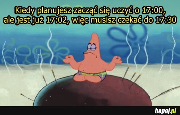 Nie ma co zaczynać po czasie