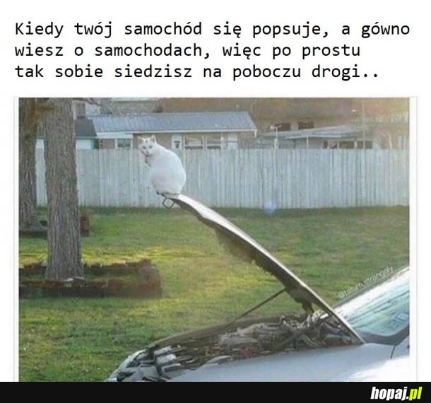 Złośliwość rzeczy martwych