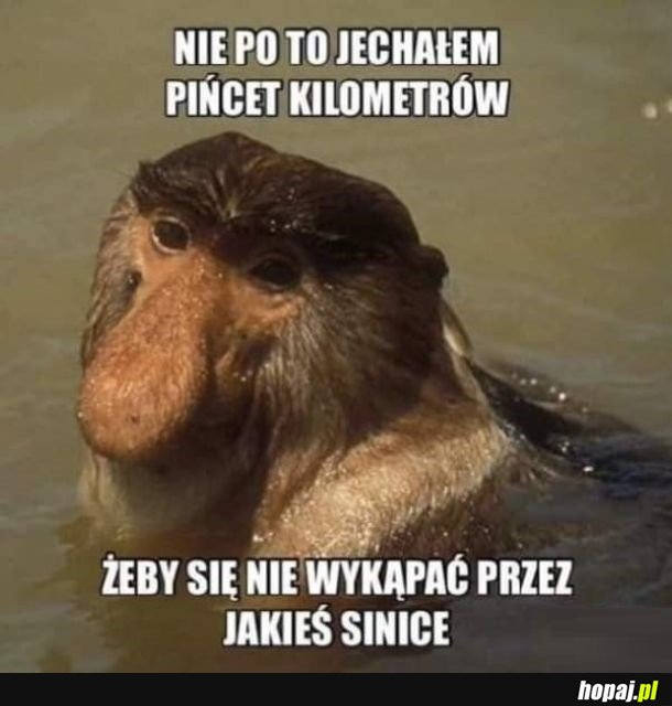 Nie po to jechał tyle kilometrów