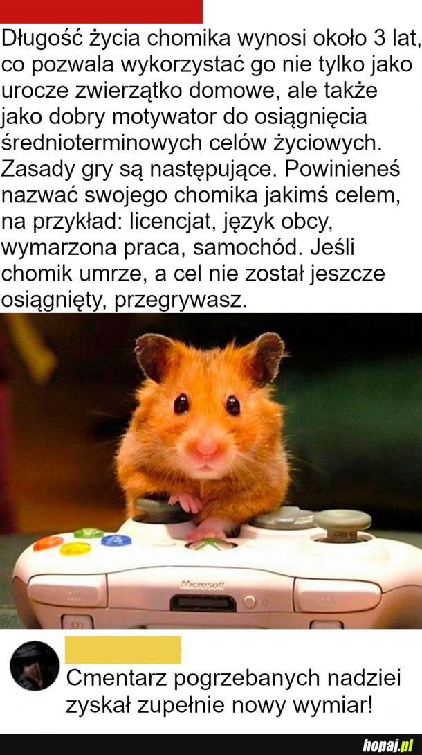 Cmentarz pogrzebanych nadzei