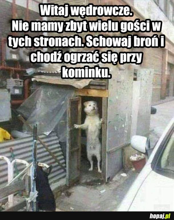 Witaj Wędrowcze!