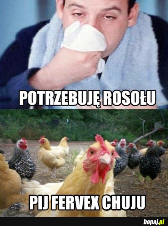 Rosołek