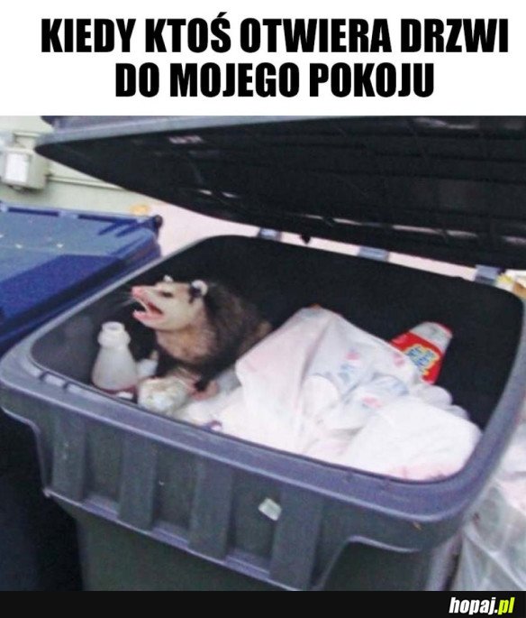POŻAŁUJESZ TEGO