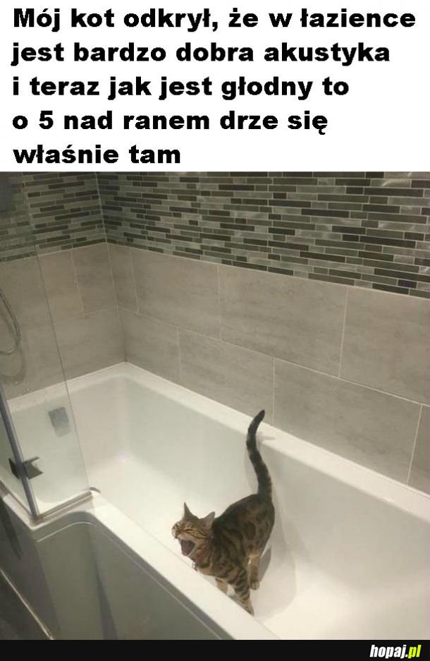 Idealna akustyka