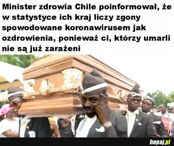 Statystyki