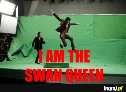 I am the swan queen